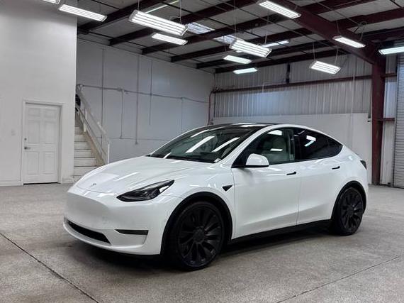 TESLA MODEL Y 2021 5YJYGDEF3MF244574 image